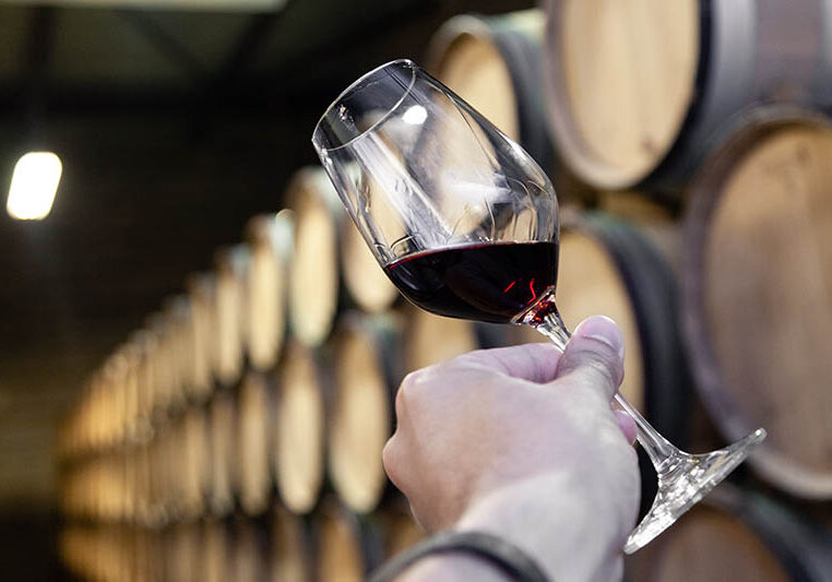 Closeup hand with glass of red wine on background wooden oak barrels stacked in straight rows in order, old cellar of winery, vault. Concept professional degustation, winelover, sommelier travel